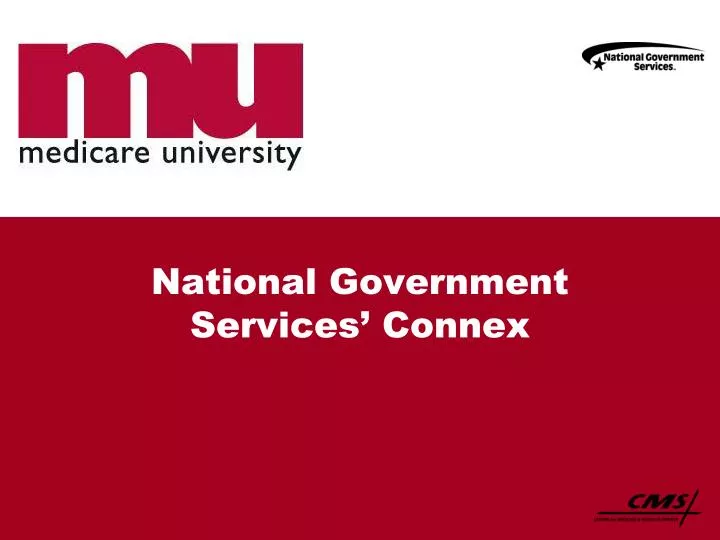 national government services connex