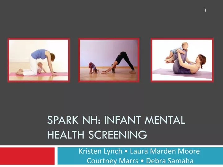 spark nh infant mental health screening