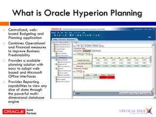 What is Oracle Hyperion Planning