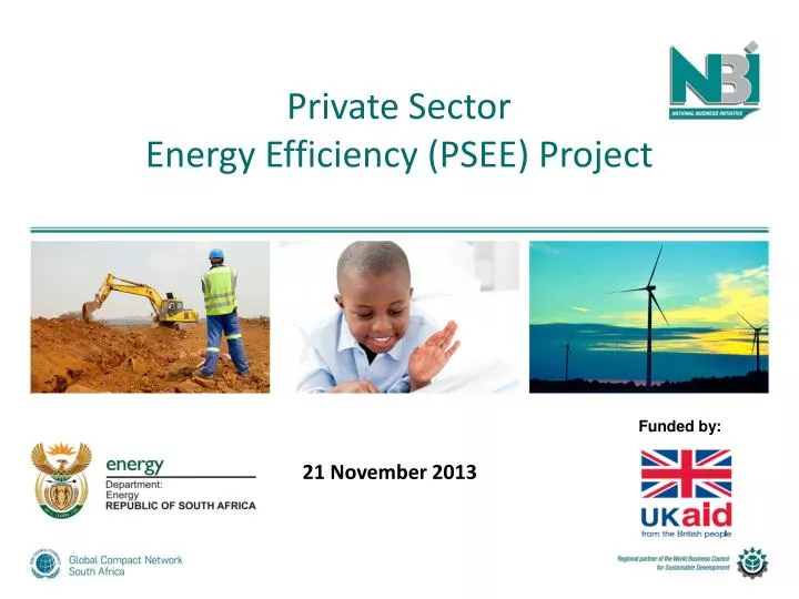 private sector energy efficiency psee project