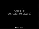 Oracle 11g Database Architectures - slide 1