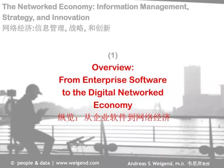 the networked economy information management strategy and innovation