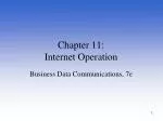 Chapter 11: Internet Operation - slide 1