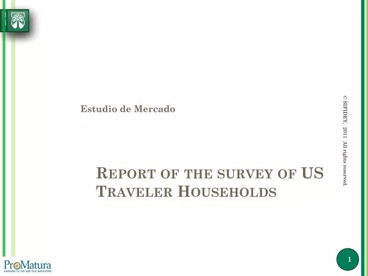 report of the survey of us traveler households