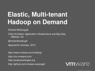 Elastic, Multi-tenant Hadoop on Demand
