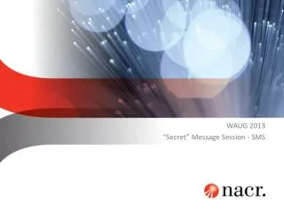 WAUG 2013 “Secret” Message Session - SMS