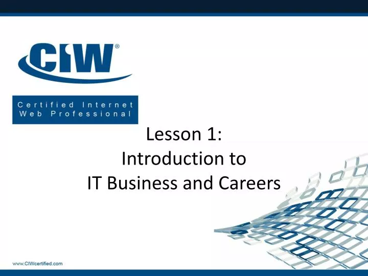 lesson 1 introduction to it business and careers