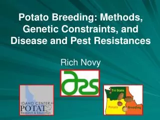 Potato Breeding: Methods, Genetic Constraints, and Disease and Pest Resistances