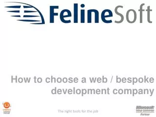 How to choose a web / bespoke development company