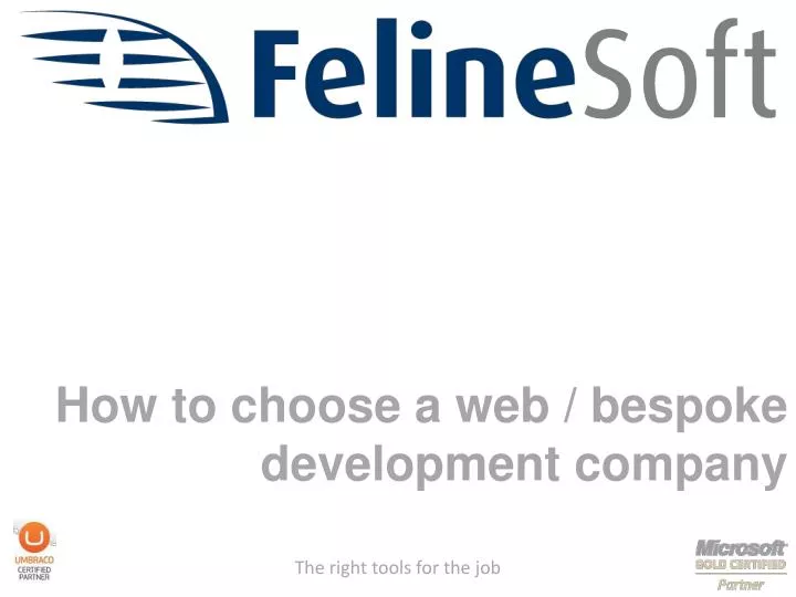 how to choose a web bespoke development company