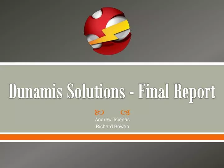dunamis solutions final report