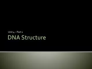 DNA Structure