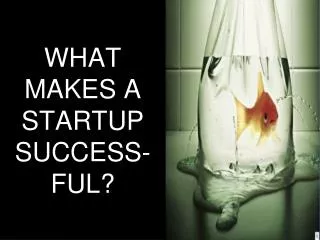 WHAT MAKES A STARTUP SUCCESS-FUL?