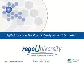 Agile Process &amp; The Role of Clarity in the IT Ecosystem
