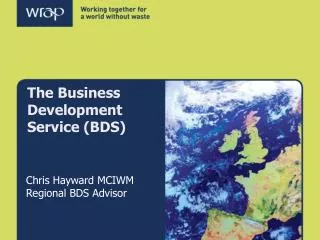The Business Development Service (BDS)
