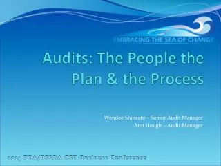 Audits: The People the Plan &amp; the Process