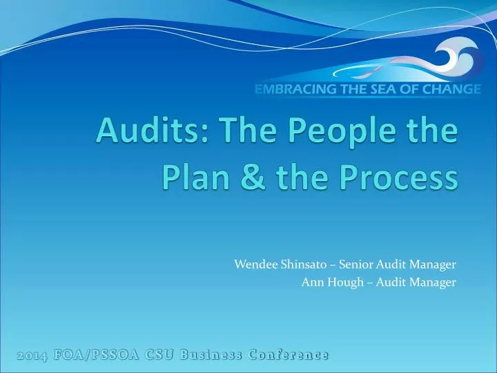 audits the people the plan the process