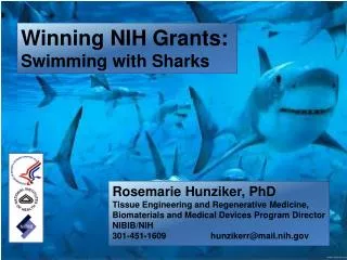 Rosemarie Hunziker, PhD Tissue Engineering and Regenerative Medicine, Biomaterials and Medical Devices Program Director