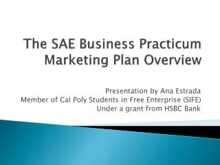 The SAE Business Practicum Marketing Plan Overview