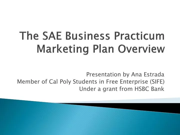 the sae business practicum marketing plan overview
