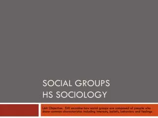 Social Groups HS Sociology