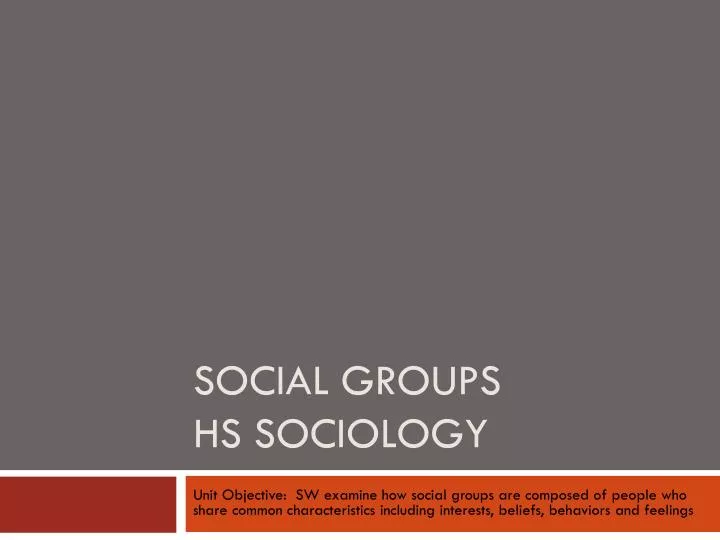social groups hs sociology