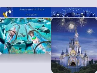 Amusement Park Industry