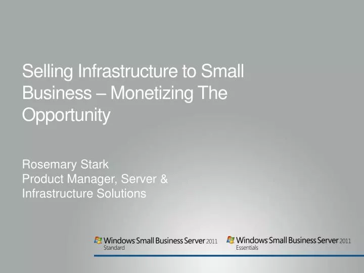 selling infrastructure to small business monetizing the opportunity
