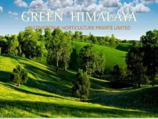 GREEN HIMALAYA