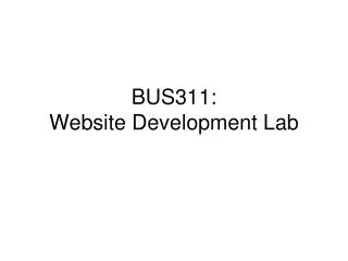 BUS311: Website Development Lab