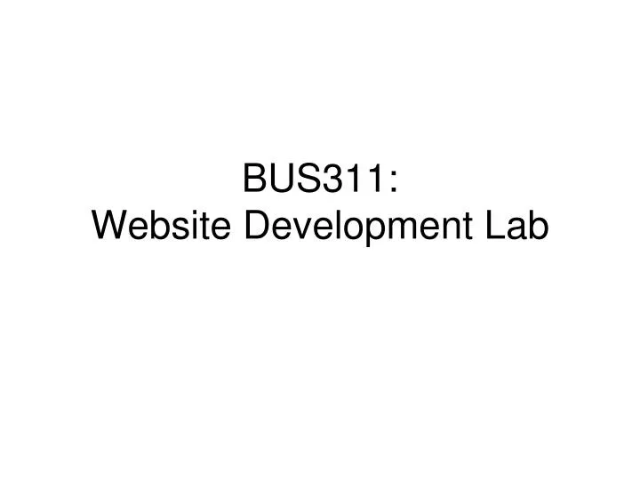 bus311 website development lab