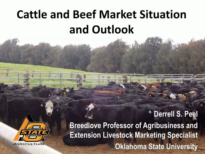 cattle and beef market situation and outlook