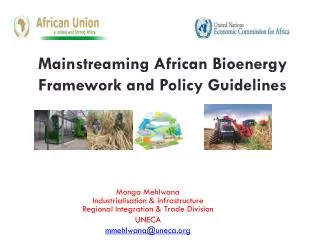 Mainstreaming African Bioenergy Framework and Policy Guidelines