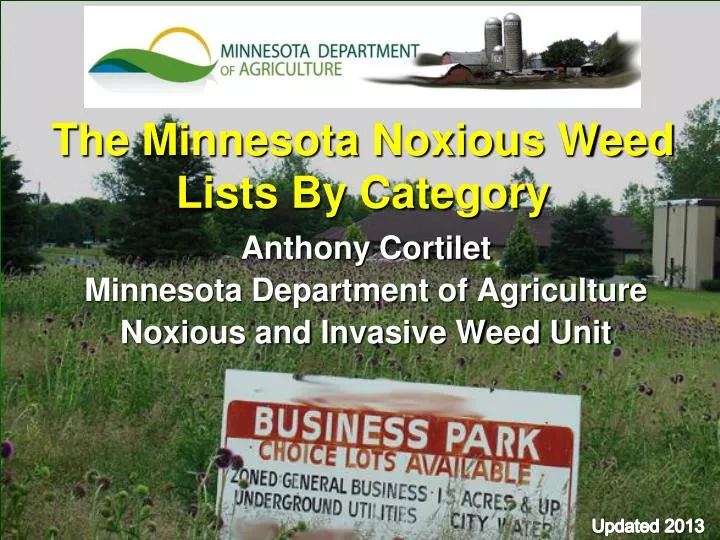 the minnesota noxious weed lists by category