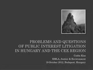 problems and questions of public interest litigation in hungary and THE cee REGION