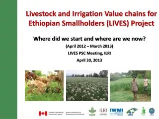 Livestock and Irrigation Value chains for Ethiopian Smallholders (LIVES) Project