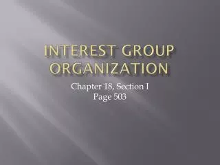 Interest Group Organization