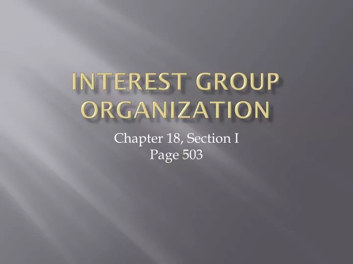 interest group organization