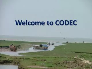 Welcome to CODEC