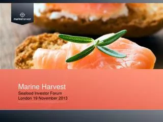 Marine Harvest Seafood Investor Forum London 19 November 2013