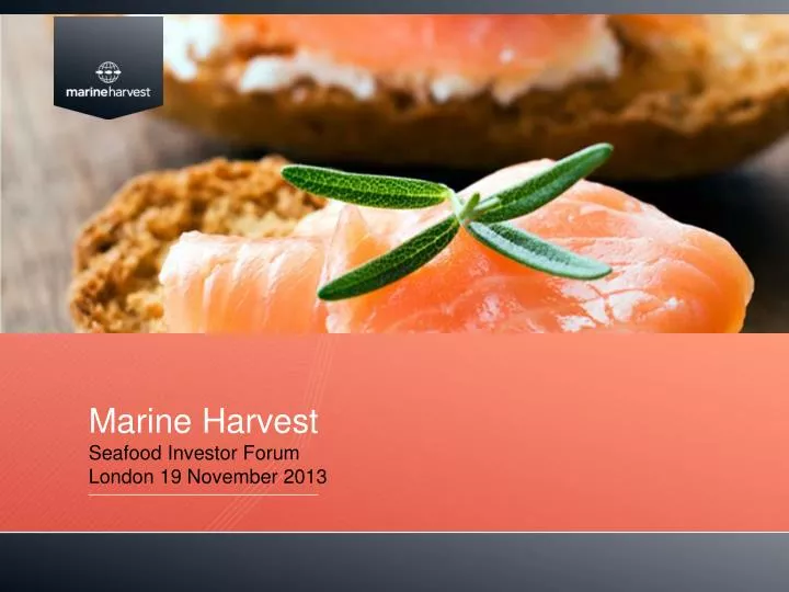 marine harvest seafood investor forum london 19 november 2013
