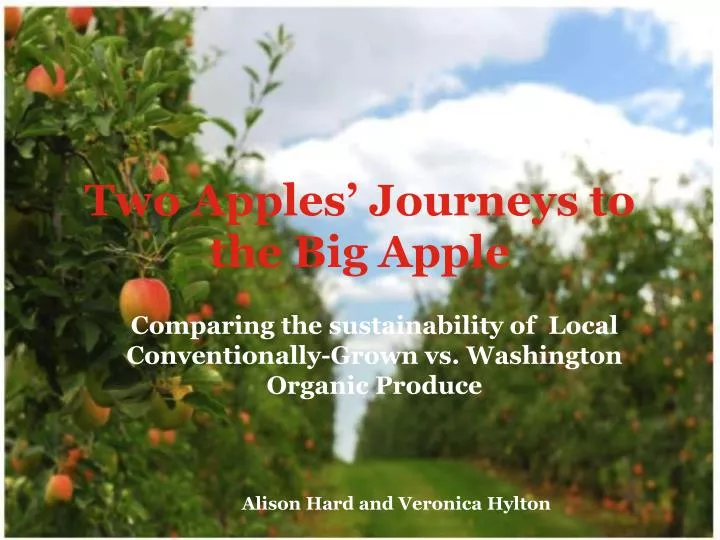 two apples journeys to the big apple
