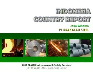 INDONESIA COUNTRY REPORT