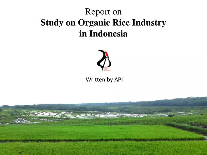 report on study on organic rice industry in indonesia