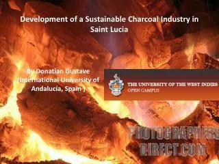 Development of a Sustainable Charcoal Industry in Saint Lucia