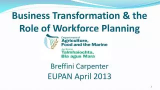 Business Transformation &amp; the Role of Workforce Planning Breffini Carpenter EUPAN April 2013