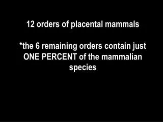 12 orders of placental mammals *the 6 remaining orders contain just ONE PERCENT of the mammalian species