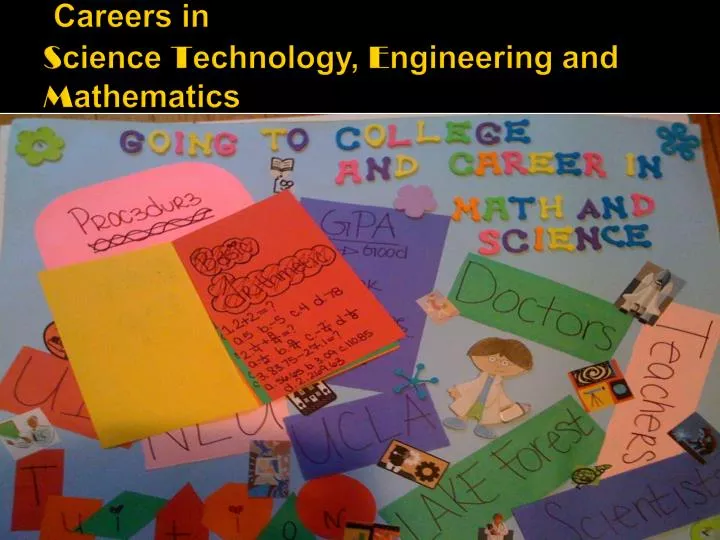 careers in s cience t echnology e ngineering and m athematics