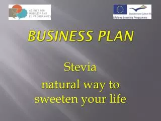 Business plan