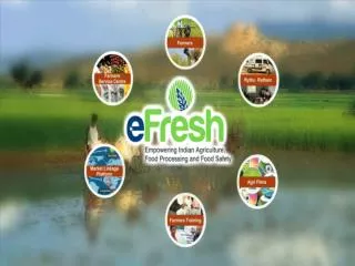 eFreshTenders ( www.efreshtenders.com )